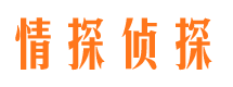 东风外遇调查取证